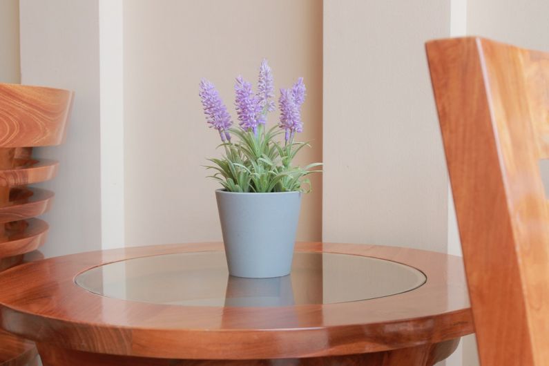 Growing Herbs Indoors - a small potted plant sitting on top of a wooden table