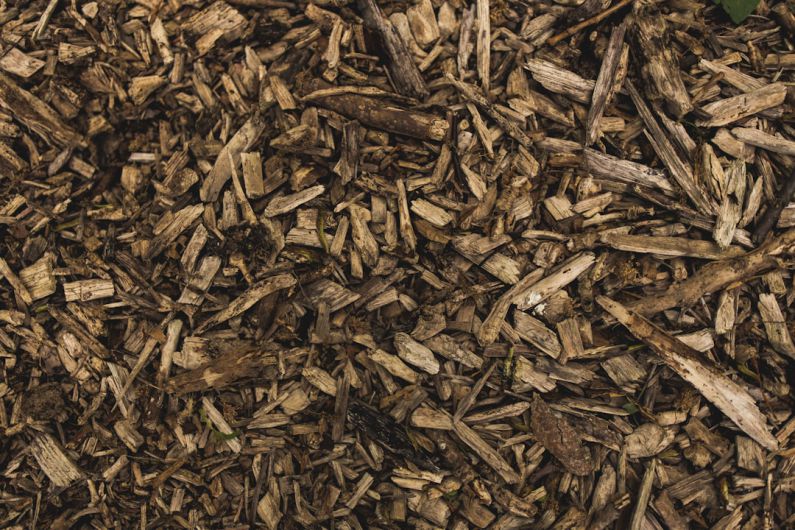 Choosing Mulch - firewood lot