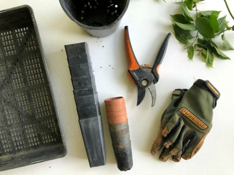 What Are the Must-have Tools for Every Gardener?